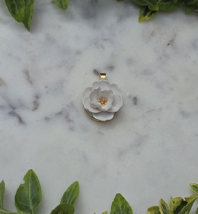 1000072932.jpg